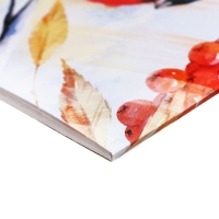 Альбом для акварели А4, 10 листов на клею, Erich Krause ArtBerry "Снегири", блок 180 г/м², экстра белая, твёрдая подложка Альбом для акварели А4, 10 листов на клею, Erich Krause ArtBerry "Снегири", блок 180 г/м², экстра белая, твёрдая подложка