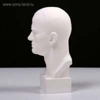 Гипсовая фигура известные люди: Бюст Маяковского, 9,5 х 11 х 23 см Гипсовая фигура известные люди: Бюст Маяковского, 9,5 х 11 х 23 см