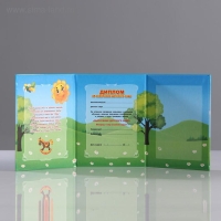 Диплом "Об окончании детского сада" 3 ств, самолёт, А7