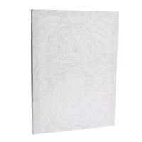 Картина по номерам на холсте с подрамником &laquo;Космический тигр&raquo;, 30х40 см