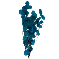 Сухоцвет персикого дерева, 50 г, длина &mdash; 70 см, цвет голубой