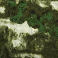 Костюм летний мужской &laquo;Пионер&raquo;, цвет 21016/1, рост 170-176, размер 44-46