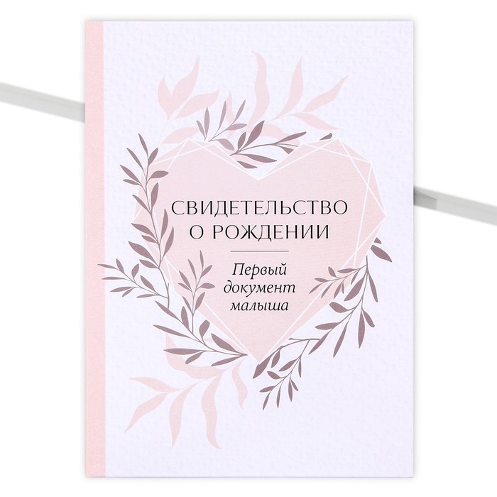 Папка для свидетельства о рождении &laquo;Первый документ&raquo;, А5.