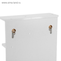 Зеркало-шкаф для ванной комнаты "Волна 500" левый, 50 х 70,5 х 16 см