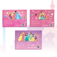 Набор альбомов 100 и 250 наклеек &laquo;Принцессы&raquo;, 3 шт., Дисней