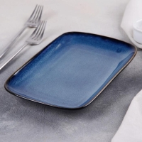 Блюдо керамическое прямоугольное &laquo;Лунная тропа&raquo;, 24&times;15 см