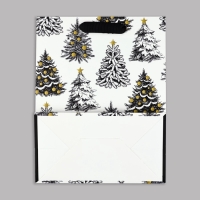 Пакет подарочный новогодний ламинированный &laquo;Зимняя сказка&raquo;, MS 23 x 18 х 10 см