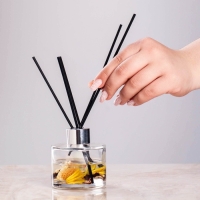 Набор фибровых палочек для ароматического диффузора, 25х0,3 см, 10 штук, черный Набор фибровых палочек для ароматического диффузора, 25х0,3 см, 10 штук, черный
