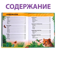 Фотоэнциклопедия для детей «В мире животных», 48 стр. Фотоэнциклопедия для детей «В мире животных», 48 стр.