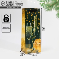 Пакет под бутылку &laquo;Праздничная ночь&raquo;, 13 х 36 х 10 см, Новый год