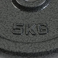 Диск 5 кг, d=29 мм Диск 5 кг, d=29 мм