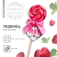 Леденец на палочке «Мяу», вкус: малина, 15 г. Леденец на палочке «Мяу», вкус: малина, 15 г.