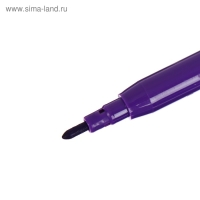 Фломастеры 12 цветов, "Гарри Поттер", картонная коробка, с европодвесом Фломастеры 12 цветов, "Гарри Поттер", картонная коробка, с европодвесом