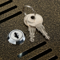 Ящик почтовый с замком, вертикальный, бронзовый Ящик почтовый с замком, вертикальный, бронзовый