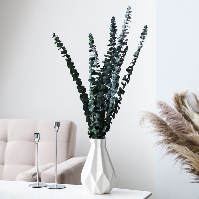 Сухоцвет «Эвкалиптовое дерево», зелёный, 10 шт. в упаковке Сухоцвет «Эвкалиптовое дерево», зелёный, 10 шт. в упаковке