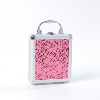 Набор профессиональной косметики"Miss Young" №6