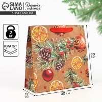 Пакет подарочный новогодний крафтовый квадратный «Новогоднее настроение», 30 х 30 х 12 см, Новый год Пакет подарочный новогодний крафтовый квадратный «Новогоднее настроение», 30 х 30 х 12 см, Новый год