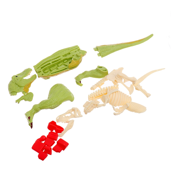 Набор для опытов «Диномир: Тираннозавр», строение тела динозавра, 33 детали Набор для опытов «Диномир: Тираннозавр», строение тела динозавра, 33 детали