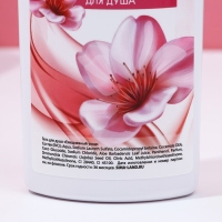 Подарочный набор косметики &laquo;Окунись с нежность&raquo;, гель для душа и шампунь для волос, 2 х 250 мл, ЧИСТОЕ СЧАСТЬЕ