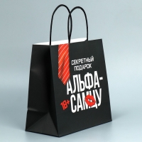 Пакет подарочный крафтовый, упаковка, «Альфа», 22 х 22 х 11 см Пакет подарочный крафтовый, упаковка, «Альфа», 22 х 22 х 11 см