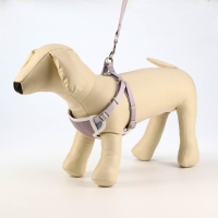 Комплект амуниции с мягкой шлейкой, M, поводок 120 х 1,5 см, ОШ 26-48 см, ОГ 26-48 см, серый Комплект амуниции с мягкой шлейкой, M, поводок 120 х 1,5 см, ОШ 26-48 см, ОГ 26-48 см, серый