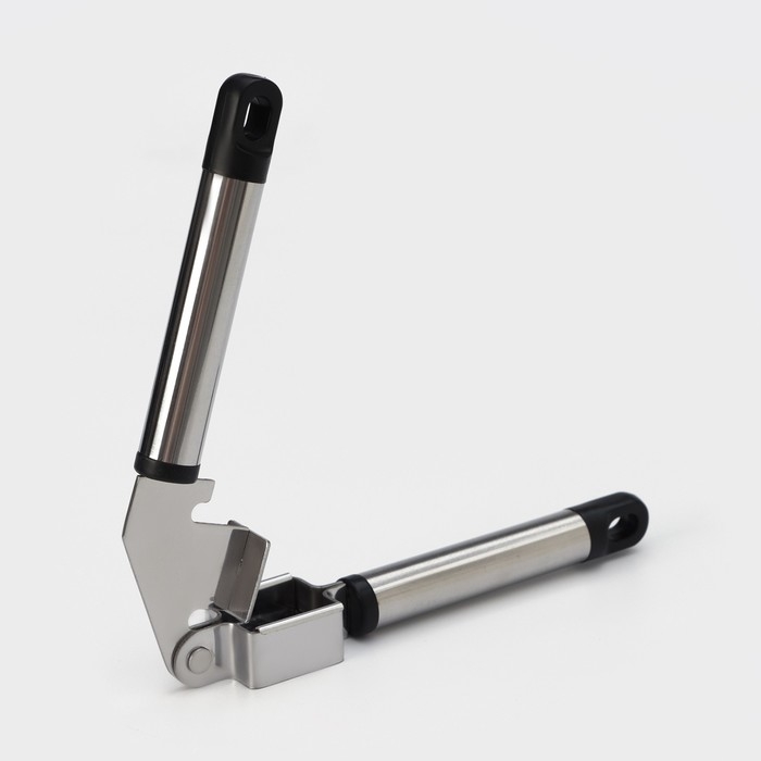 Пресс для чеснока Доляна &laquo;Помощник&raquo;, 18 см, цвет серебристый