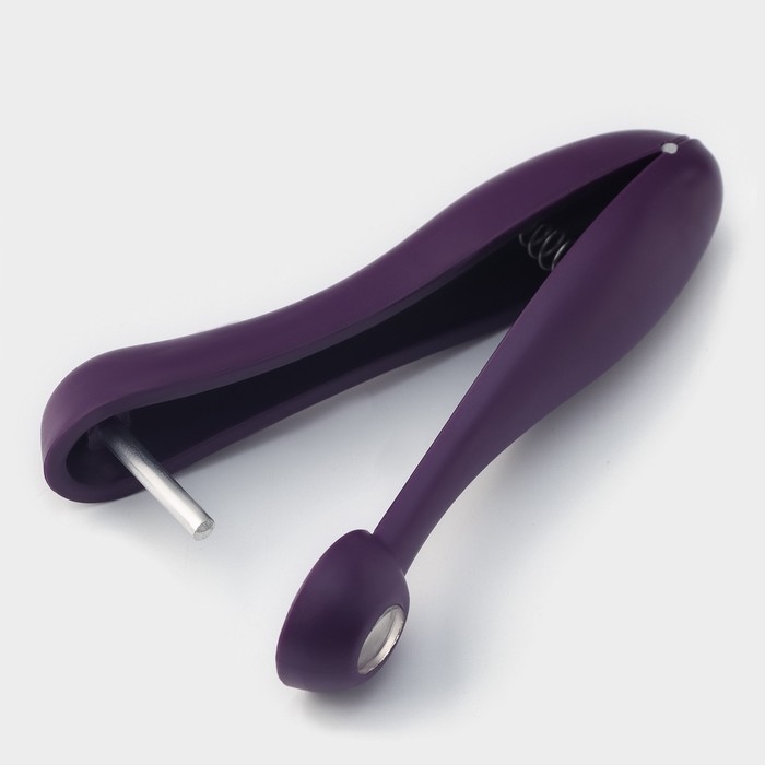 Удалитель косточек Доляна «Ловкач», цвет фиолетовый Удалитель косточек Доляна «Ловкач», цвет фиолетовый