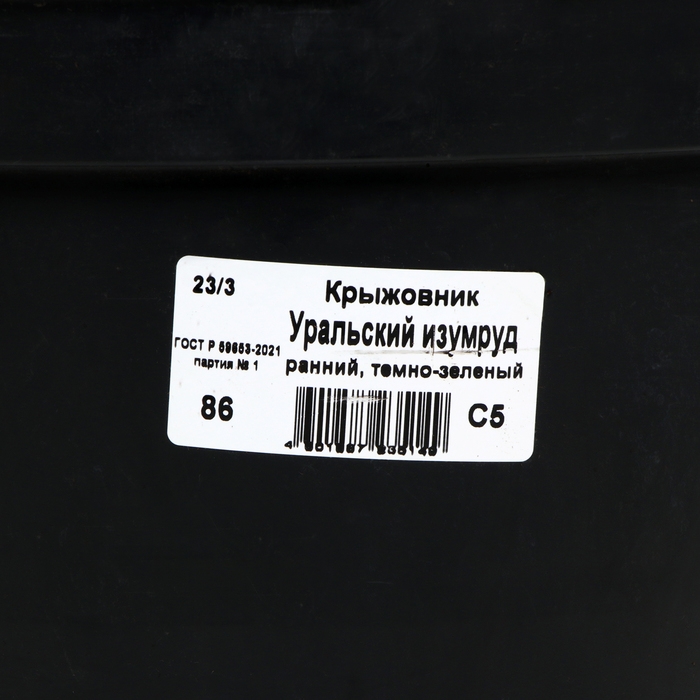 Крыжовник Уральский изумруд, C5 горшок , 1 шт, Осень 2024