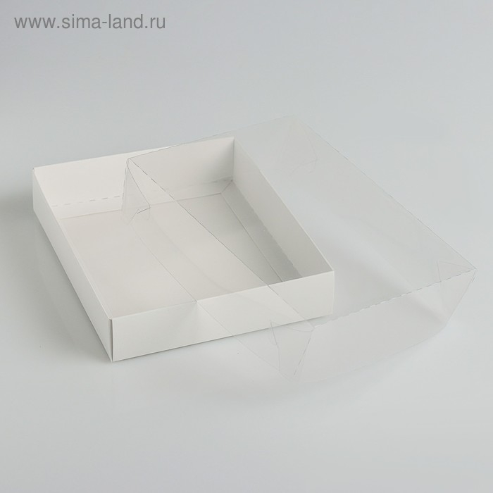 Коробочка для печенья с прозрачной крышкой 16 х 13 х 3 см