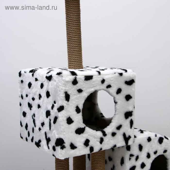Домик для кошек с когтеточкой Домик для кошек с когтеточкой "Двухуровневый", 72 х 37 х 110 см, джут, далматинец
