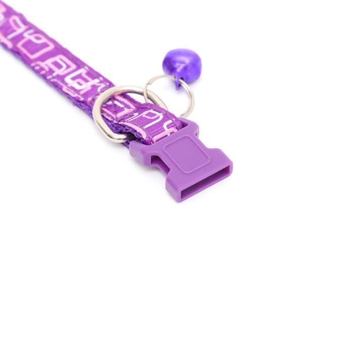 Ошейник двухслойный с фастексом Ошейник двухслойный с фастексом "Квадраты", 30 х 1 см, фиолетовый