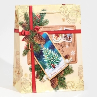 Пакет подарочный новогодний ламинированный &laquo;С Новым годом!&raquo;, MS 18 х 23 х 8 см