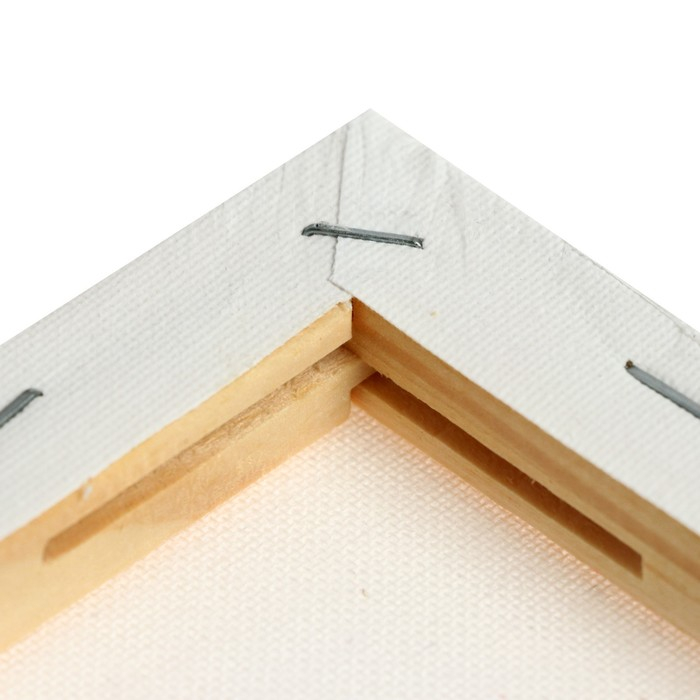 Холст на подрамнике, хлопок 100%, 50 х 60 х 1.8 см, акриловый грунт, мелкозернистый, 280 г/м&sup2;