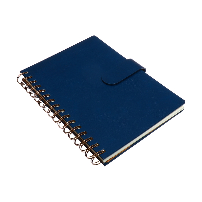 Органайзер на гребне, А5, 80л, клетка, обл.кожзам, с хлястиком, синий Органайзер на гребне, А5, 80л, клетка, обл.кожзам, с хлястиком, синий