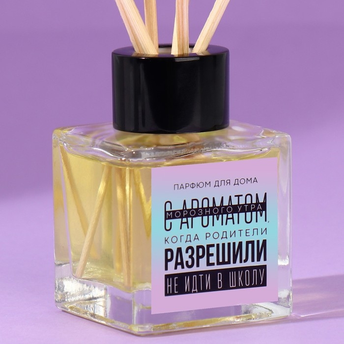 Диффузор ароматический &laquo;Аромат морозного утра&raquo;, апельсин, 50 мл.