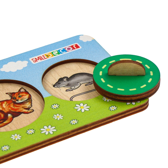 Рамки-вкладыши для малышей &laquo;Умные круги&raquo;