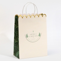 Пакет подарочный крафтовый, упаковка, &laquo;Nice day&raquo;, 23 х 30 х 12 см