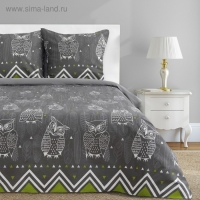Постельное бельё "Этель" дуэт Ушастые совы (вид 1) 143 х 215 см - 2 шт., 220 х 240 см, 70 х 70 см - 2 шт Постельное бельё "Этель" дуэт Ушастые совы (вид 1) 143 х 215 см - 2 шт., 220 х 240 см, 70 х 70 см - 2 шт