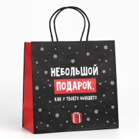 Пакет подарочный новогодний «Небольшой подарок», 22 х 22 х 11 см , Новый год Пакет подарочный новогодний «Небольшой подарок», 22 х 22 х 11 см , Новый год
