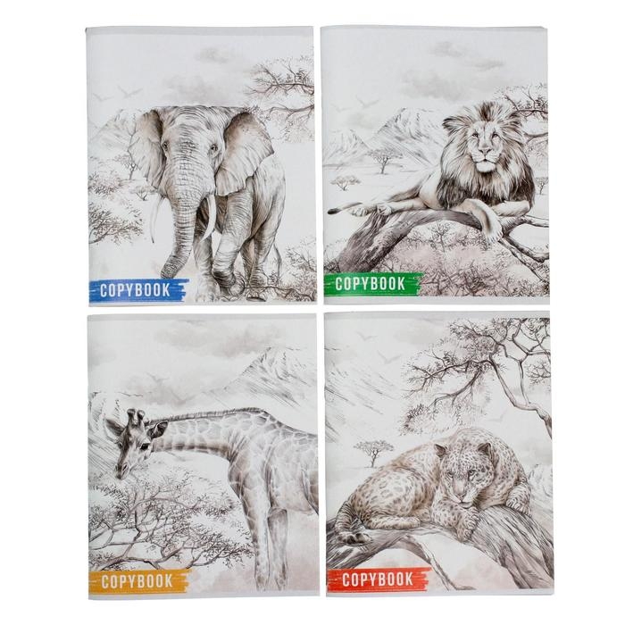 Тетрадь 96 листов в клетку Calligrata Тетрадь 96 листов в клетку Calligrata "Африка", обложка картон хром-эрзац, блок №2, белизна 75% (серые листы), МИКС