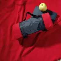 Дорожный плед Voyager, красный