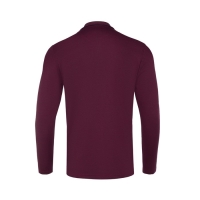 Поло мужское с длинным рукавом, цвет бордовый, размер 46 (M)