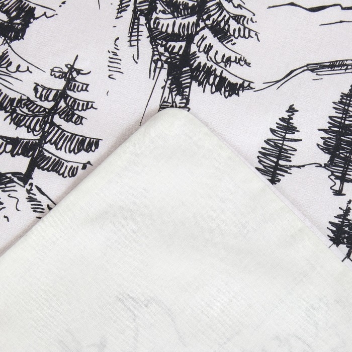 Постельное бельё &laquo;Этель&raquo; 1.5 сп Winter landscape 143х215 см,150х214 см, 50х70 см 2 шт, поплин