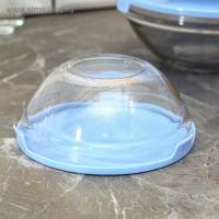 Набор стеклянных салатников Доляна «Классика» с крышками, 5 предметов: 900 мл (17×7,6 см), 500 мл (16×6 см), 350 мл (12,5×5,4 см), 200 мл (10,5×4,5 см), 130 мл (9×3,7 см), цвет голубой Набор стеклянных салатников Доляна «Классика» с крышками, 5 предметов: 900 мл (17×7,6 см), 500 мл (16×6 см), 350 мл (12,5×5,4 см), 200 мл (10,5×4,5 см), 130 мл (9×3,7 см), цвет голубой