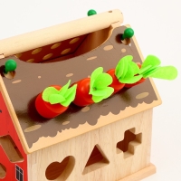 Логический центр &laquo;Домик&raquo; 18 &times; 18 &times; 18,5 см