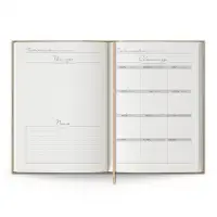 Ежедневник Anaconda, недатированный, золотистый