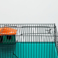 Клетка для грызунов "Пижон" №4, с этажом, укомплектованная, 37х26х18 см, бирюзовая Клетка для грызунов "Пижон" №4, с этажом, укомплектованная, 37х26х18 см, бирюзовая