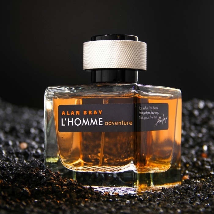 Туалетная вода мужская Alan Bray L'HOMME Adventure, 100 мл Туалетная вода мужская Alan Bray L'HOMME Adventure, 100 мл