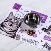 Коврик под миску &laquo;Кот не работает, кот ест!&raquo; 43х28 см