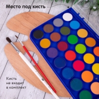 Акварель 28 цветов BRAUBERG PREMIUM, круглые кюветы 28 мм, в пенале